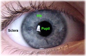 eyeball picture