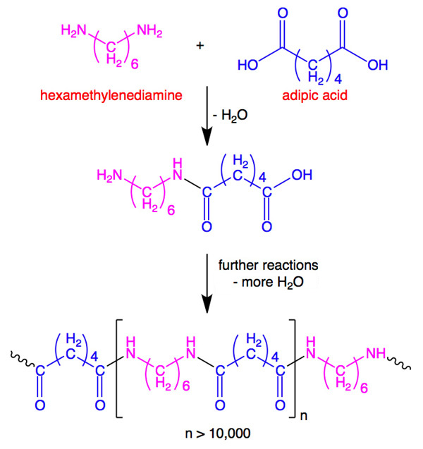polymerization reaction leading to Nylon™